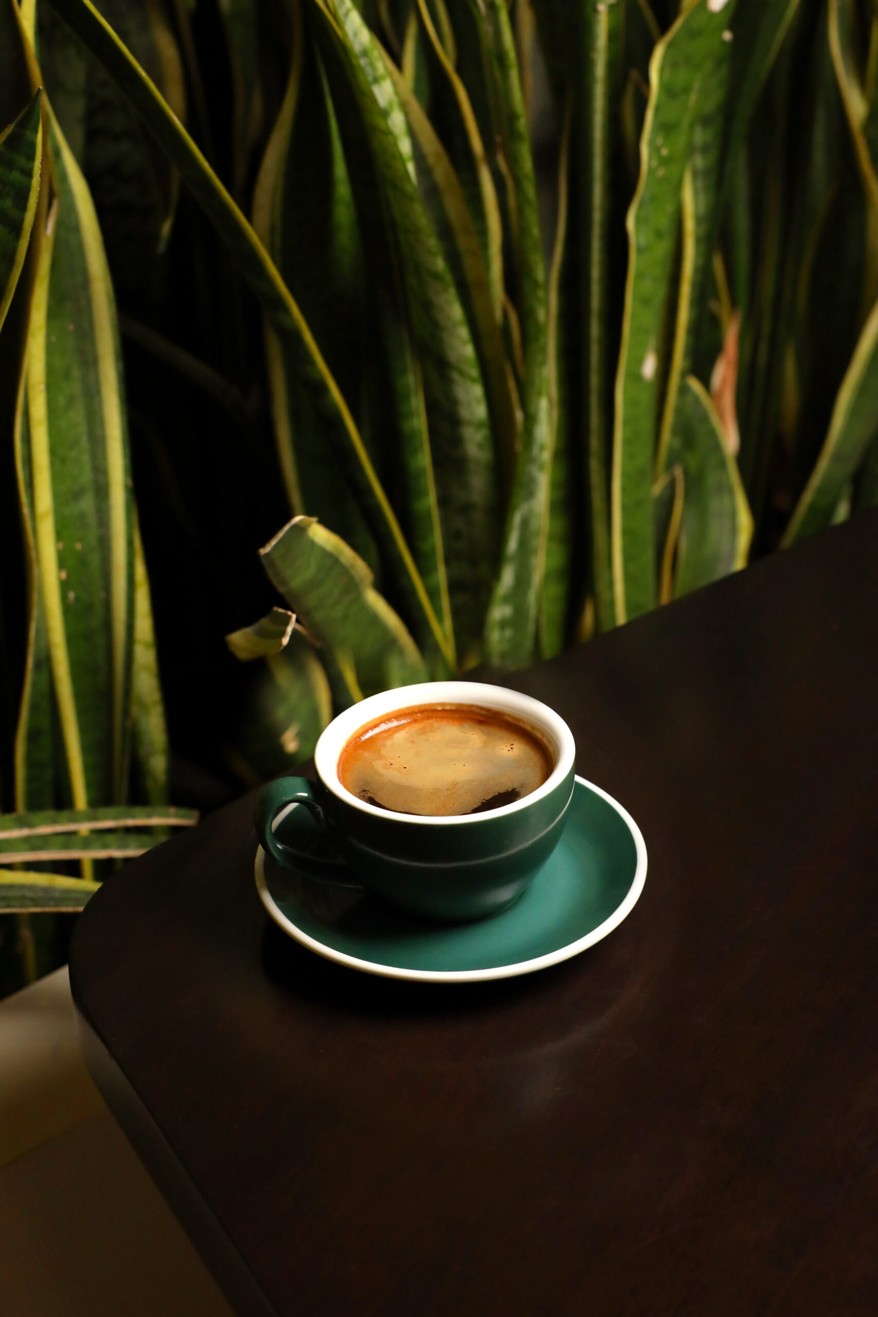 امريكانو حار امريكانو - الصورة 1